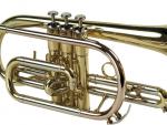 Cornet Sib