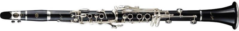 SELMER Signature Evolution