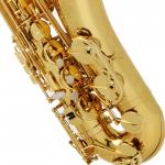 BUFFET CRAMPON TENOR 100